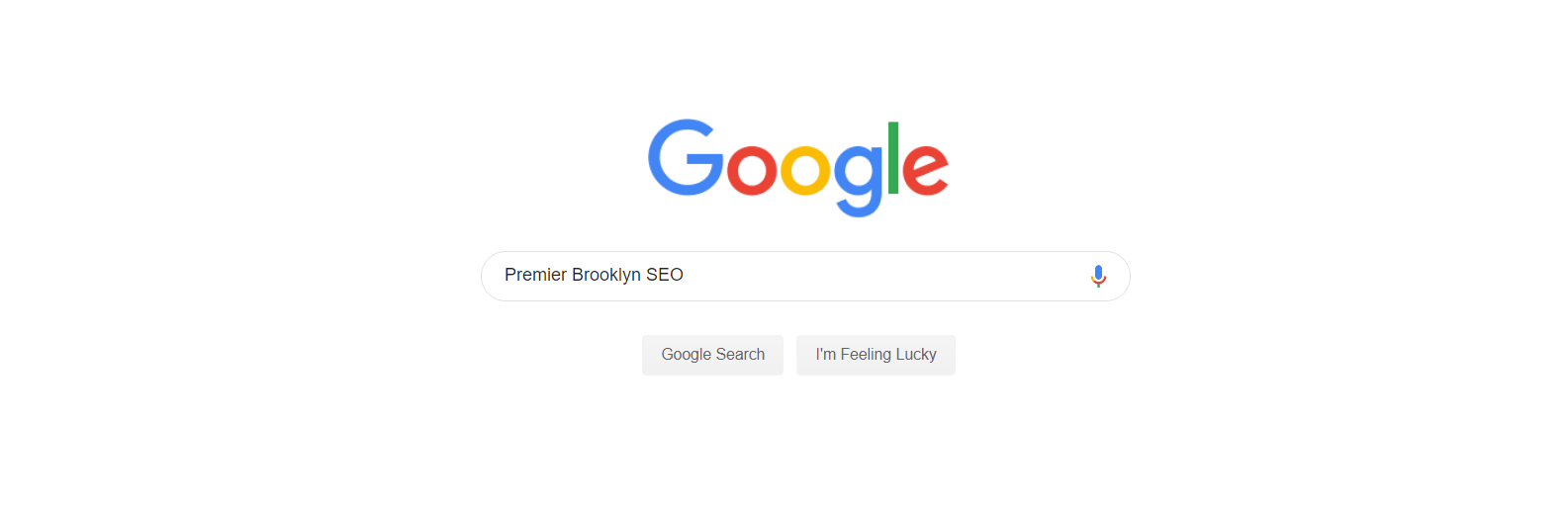 premier-brooklyn-seo-google-search-box