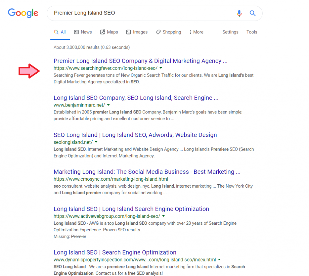 premier-long-island-seo-dominate-google-page-one